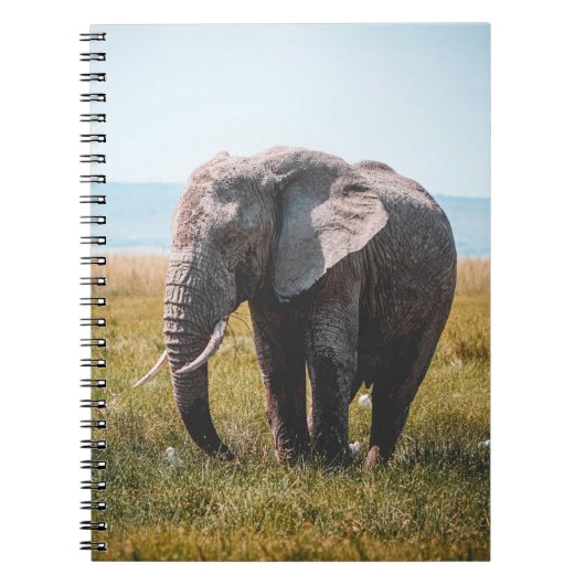 CARNET JOLIMENT ÉLÉPHANT (Devant)