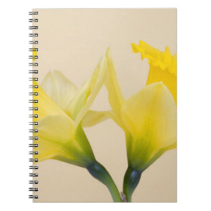 Carnet Jonquilles jaunes