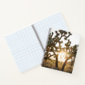 Carnet Joshua Tree - Edition limitée (Intérieur)