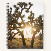 Carnet Joshua Tree - Edition limitée (Devant)