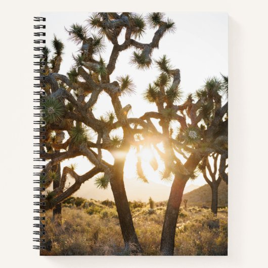 Carnet Joshua Tree - Edition limitée (Devant)