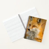 Carnet Jote Red Fox Wilderness Nature Photographie (Intérieur)