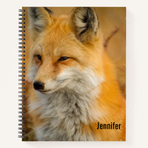 Carnet Jote Red Fox Wilderness Nature Photographie