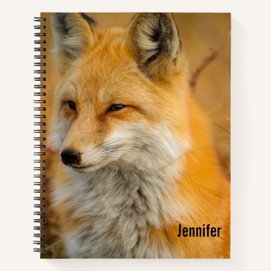 Carnet Jote Red Fox Wilderness Nature Photographie (Devant)