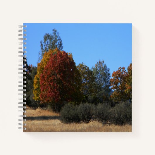 Carnet Jour d'automne dans le pays...... (Devant)