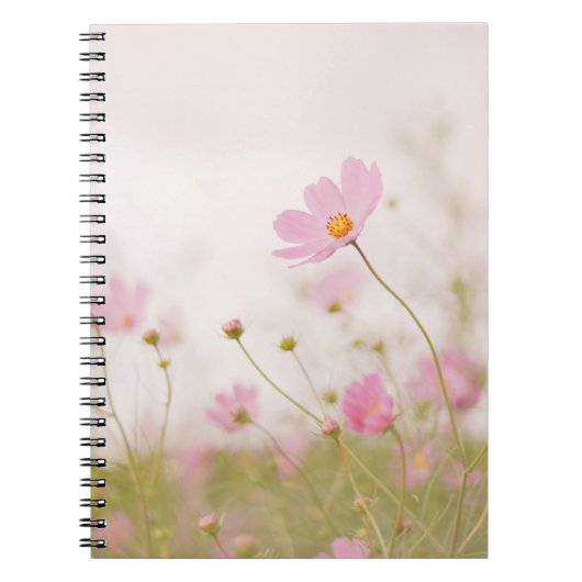 CARNET JOUR DE WINDY (Devant)