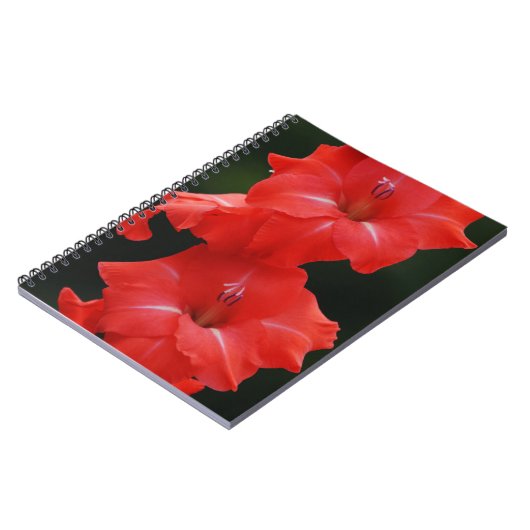 Carnet Journal des fleurs rouges (Côté gauche)