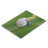 Carnet journal d'escargot (Côté gauche)