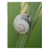 Carnet journal d'escargot (Devant)