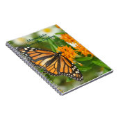 Carnet Journaux de jardinage (Côté Droit)