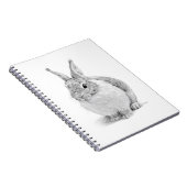 Carnet Journée du lapin (Côté Droit)