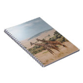 CARNET JOURNÉE MONDIALE DE LA FAUNE (Côté Droit)