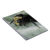 Carnet Jours pluvieux (Côté Droit)