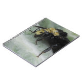 Carnet Jours pluvieux (Côté gauche)