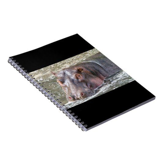 Carnet Joyeux Hippo (Côté Droit)