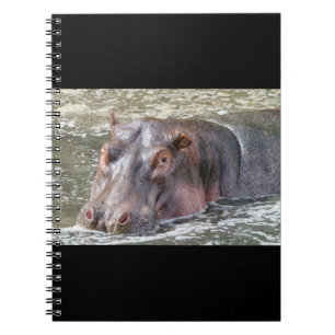 Carnet Joyeux Hippo