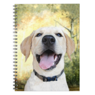 Carnet Joyeux Laboratoire Jaune