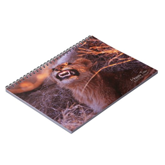 Carnet Joyeux Tau (Côté gauche)