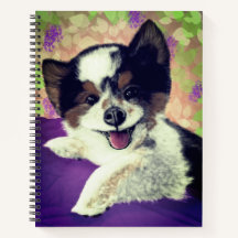 Joyeux visage de chien