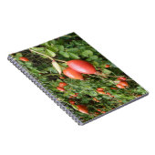 Carnet Juicy Red Rose Hips (Côté Droit)