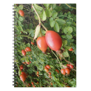 Carnet Juicy Red Rose Hips