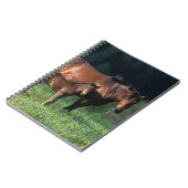 Carnet Jument et poulain 1 de pur sang (Côté gauche)