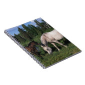 Carnet Jument et poulain arabes 2 (Côté Droit)