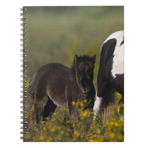 Carnet Jument et poulain miniatures en fleurs