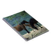 Carnet Jument et poulain sauvages de mustang (Côté Droit)