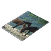 Carnet Jument et poulain sauvages de mustang (Côté gauche)