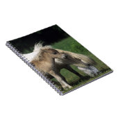 Carnet Jument et poulains miniatures 3 (Côté Droit)