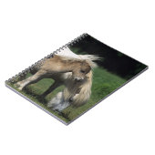 Carnet Jument et poulains miniatures 3 (Côté gauche)