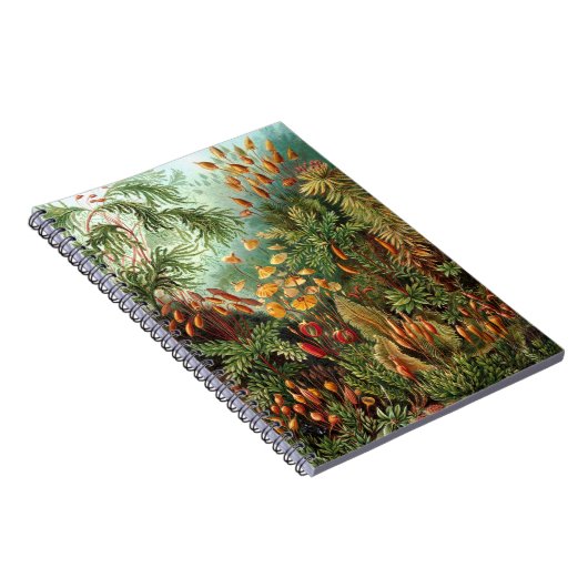 Carnet Jungle (Côté Droit)