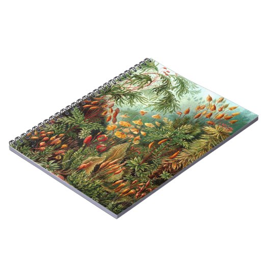 Carnet Jungle (Côté gauche)