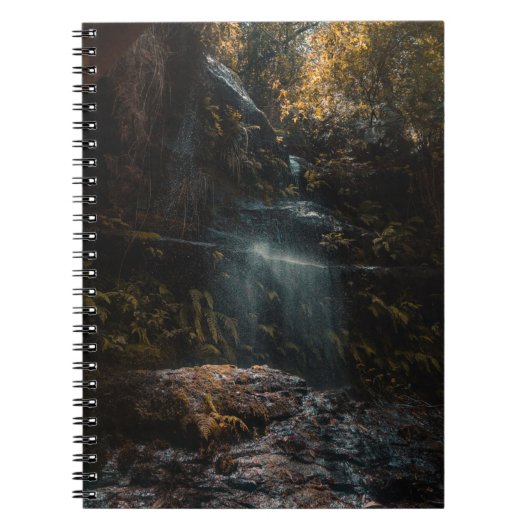 Carnet Jungle (Devant)