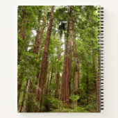 Carnet Jusqu'à Redwoods I au monument national de Muir Wo (Dos)