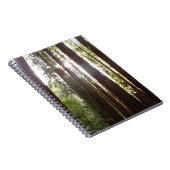 Carnet Jusqu'aux Séquoias le Matin (Côté Droit)