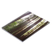 Carnet Jusqu'aux Séquoias le Matin (Côté gauche)