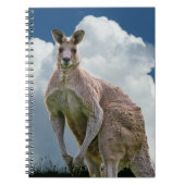 Carnet Kangaroo (Devant)
