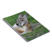 Carnet Kangaroo à dos (Côté Droit)