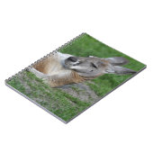 Carnet Kangaroo à dos (Côté gauche)