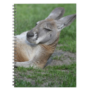 Carnet Kangaroo à dos