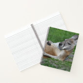 Carnet Kangaroo à dos (Intérieur)