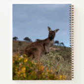Carnet Kangaroo Australie Fleurs Printemps Double face (Dos)