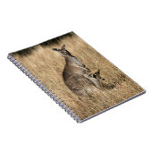 Carnet Kangaroo avec Joey bébé à Pouch (Côté Droit)