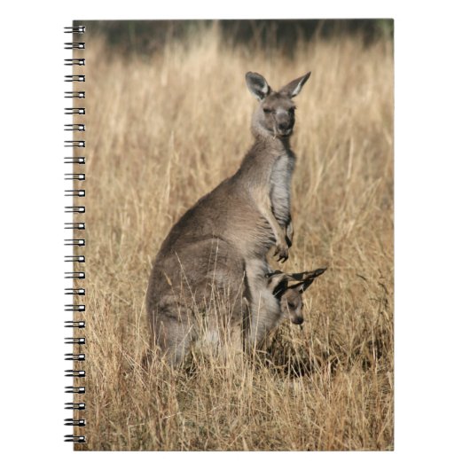 Carnet Kangaroo avec Joey bébé à Pouch (Devant)