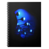 Carnet Kate (Devant)