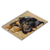 Carnet Kelpie_Farm_Life,_ (Côté gauche)