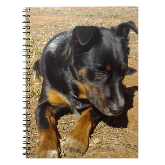 Carnet Kelpie_Farm_Life,_ (Devant)