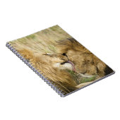 Carnet Kenya, Masai Mara (Côté Droit)